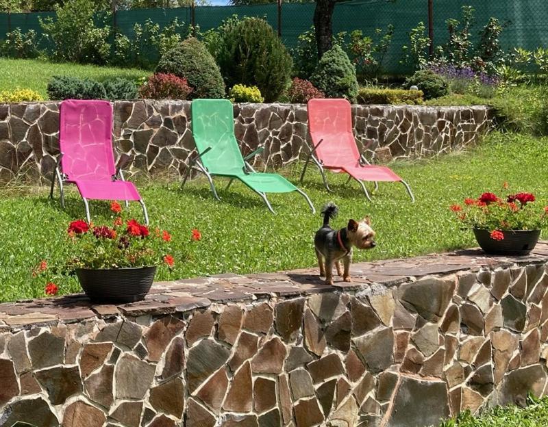 Vila Marko Nová Lesná Buitenkant foto